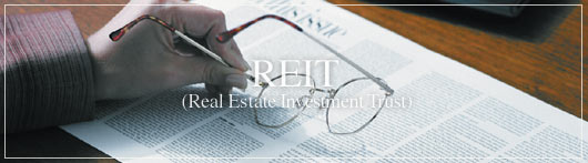 REIT REIT (Real Estate Investment Trust)